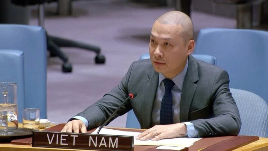 Vietnam promotes equitable social development at UN session